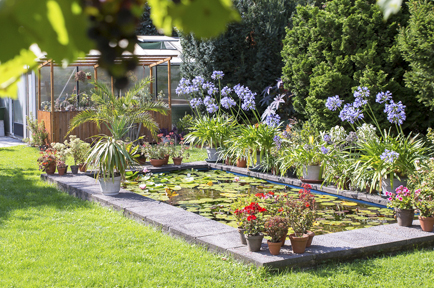 tl_files/garten/gaerten 2024/og_pirna_2024_vielfalt_big.jpg